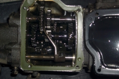 IMGP5594