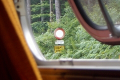 IMGP3986