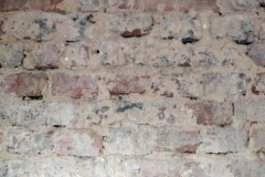 IMG_20200229_082954